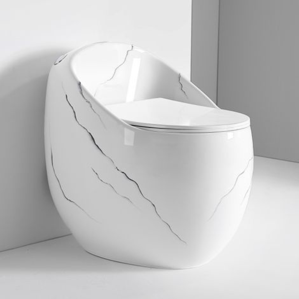 Toilet Seat & Basin