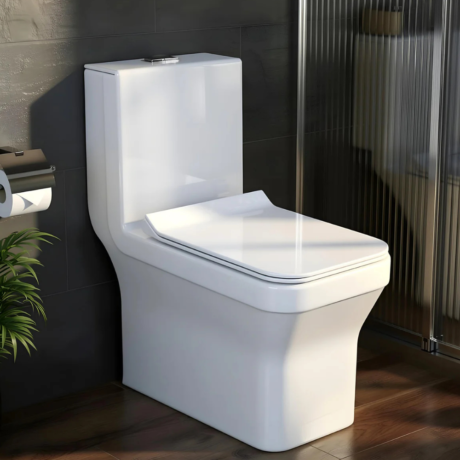 Toilet Seat